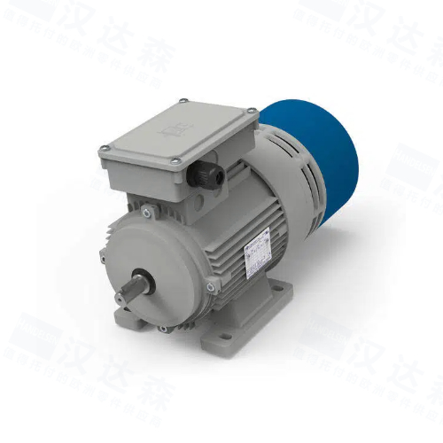 �����M.T. Motori ElettriciŤ��늙CTFP