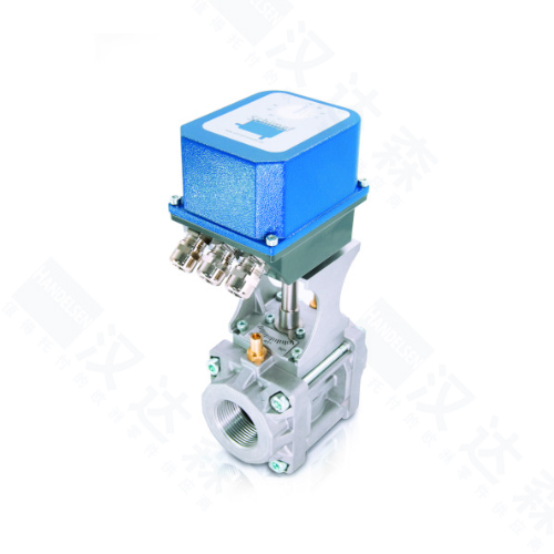 ���w���������y