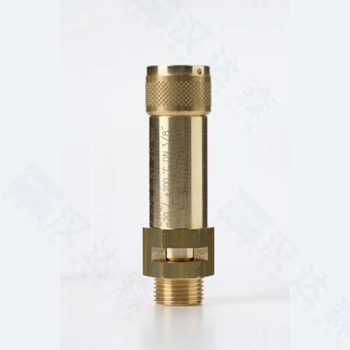 �����ŷŰ�ȫ�y